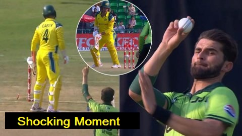 Shaheen Afridi bowled Alex Carey on first ball during the Pakistan vs Australia ODI match, celebrating a historic wicket for Pakistan.